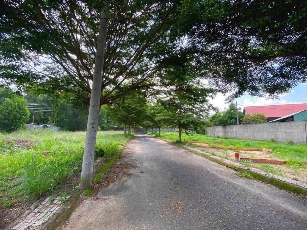 Bán đất thổ cư 96,2m² sổ sẵn 1 tỷ 050 triệu khu công nghiệp Long Đức - Ảnh thu nhỏ 2