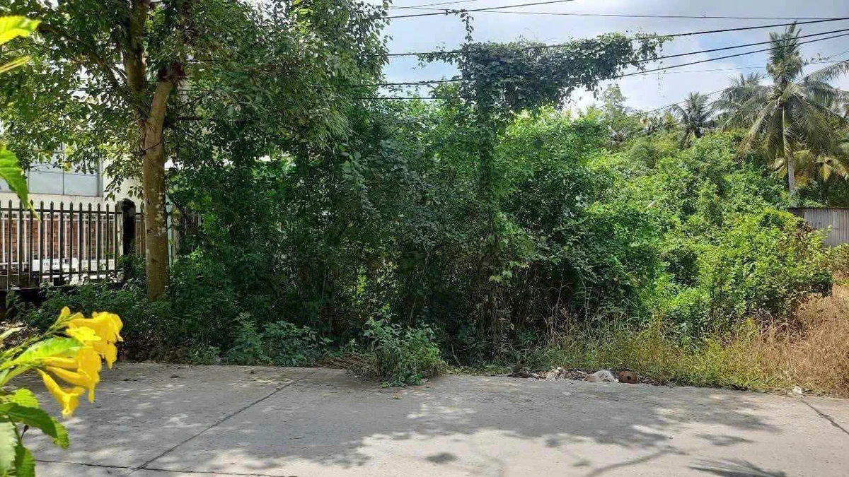 Bán đất nền mặt tiền Nguyễn Văn Nhị 100 m² 1 tỷ 350 triệu - Ảnh thu nhỏ 2