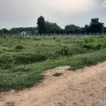 Bán 2 công đất gò 2000m² giá 380 triệu tại An Cơ, Châu Thành, Tây Ninh - Ảnh thu nhỏ 4