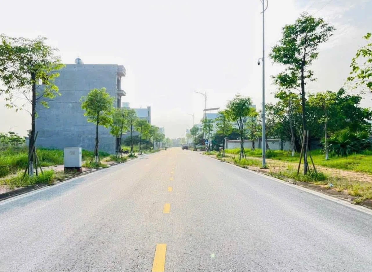 Bán đất VIP 67.5m2 đường 20.5m Tân Phú Hưng, 3.3 tỷ - Ảnh 1