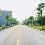 Bán đất VIP 67.5m2 đường 20.5m Tân Phú Hưng, 3.3 tỷ - Ảnh thu nhỏ 1