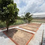Bán nhà vườn 500m² Long Mỹ Phước Hải 2 tỷ 50 - Ảnh thu nhỏ 4