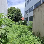 Bán đất hẻm Đỗ Nhuận, 296 m², Tân Lợi, Bình Minh - Ảnh thu nhỏ 4