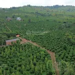Quỹ đất gần 2000m mặt tiền Quốc lộ, ngang 20m tại Đắk Nia, Gia Nghĩa, giá chỉ từ 4,5 tỷ - Ảnh thu nhỏ 1