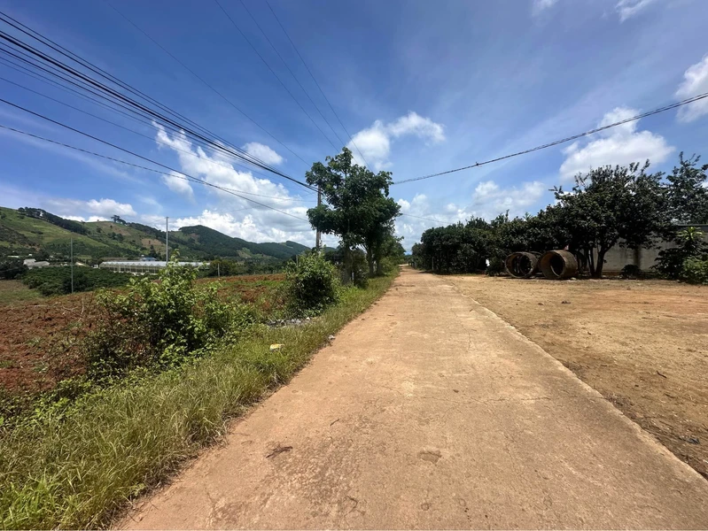 Bán đất view đồi thông Đà Lạt, sẵn sổ, 839m² và 1098m²