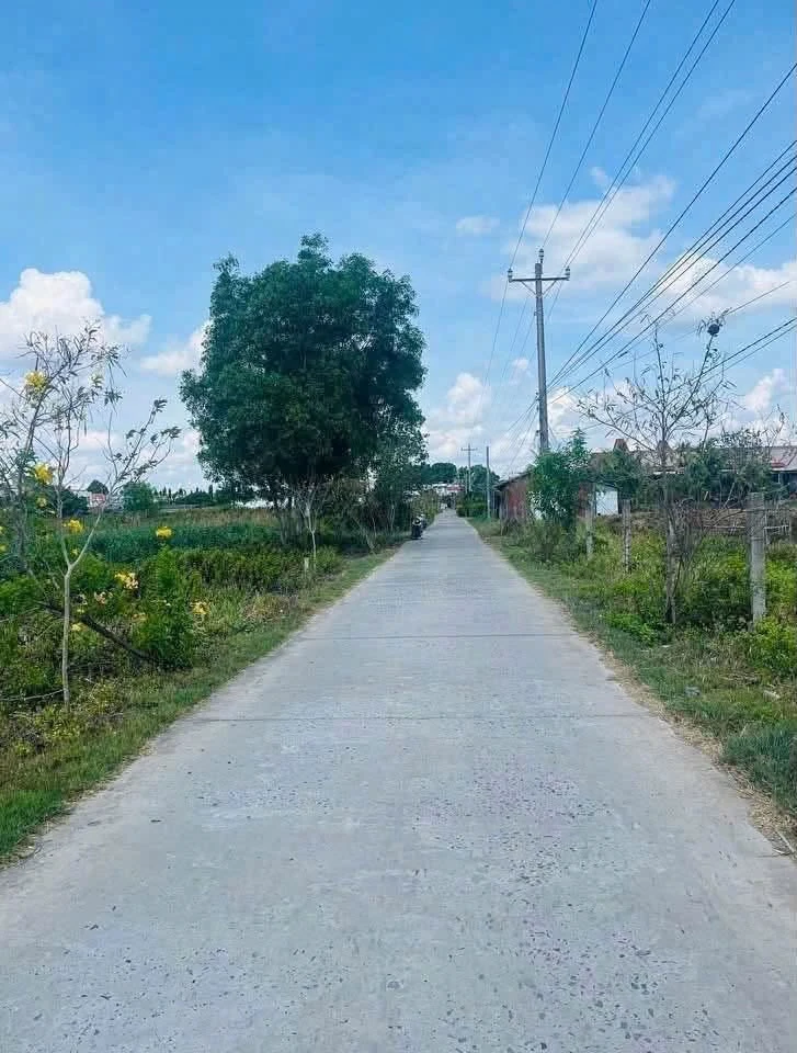 Bán đất Bình Đại, Bến Tre, 1.148m2, 1 tỷ 650 triệu - Ảnh thu nhỏ 2