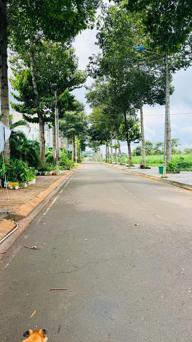 Bán nền có nhà 1PN, 115m2, khu tái định cư Long Khánh, 2.5 tỷ - Ảnh 1