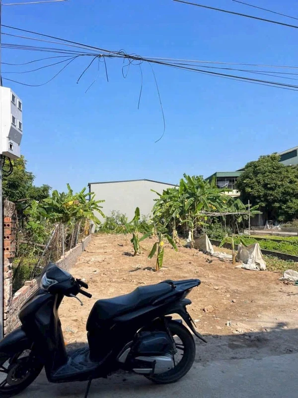 Bán 2 lô đất 100m² mặt tiền 4m Hải Phòng