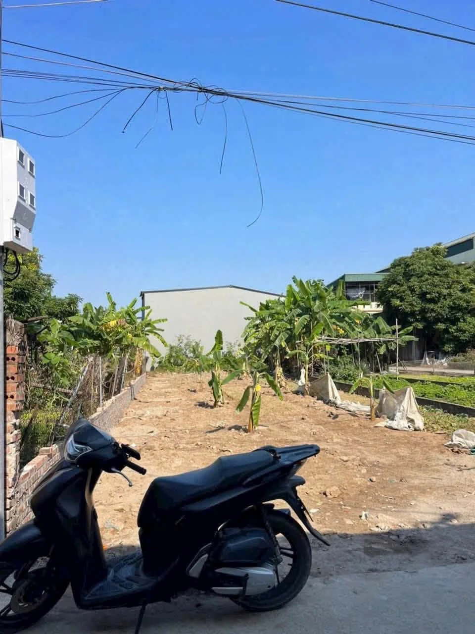 Bán 2 lô đất 100m² mặt tiền 4m Hải Phòng - Ảnh 1