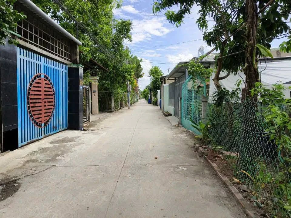 Bán đất mặt tiền Bình Nhâm 28, 245m², giá 3,5 tỷ, Lái Thiêu - Ảnh thu nhỏ 3