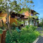 Bán homestay 7 phòng 2.320m2 đường Nguyễn Trường Tộ, EaKao, Buôn Ma Thuột - Ảnh thu nhỏ 5