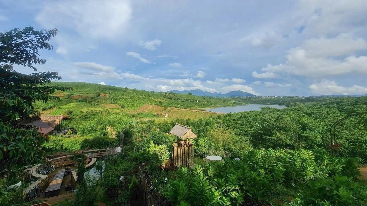 Bán đất vườn 2.385m² La Ngà, 445 triệu/1.000m² - Ảnh thu nhỏ 3