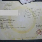 Bán đất thổ cư mặt tiền QL1A 285m2 xã Nhị Thành, Thủ Thừa, Long An - Ảnh thu nhỏ 4