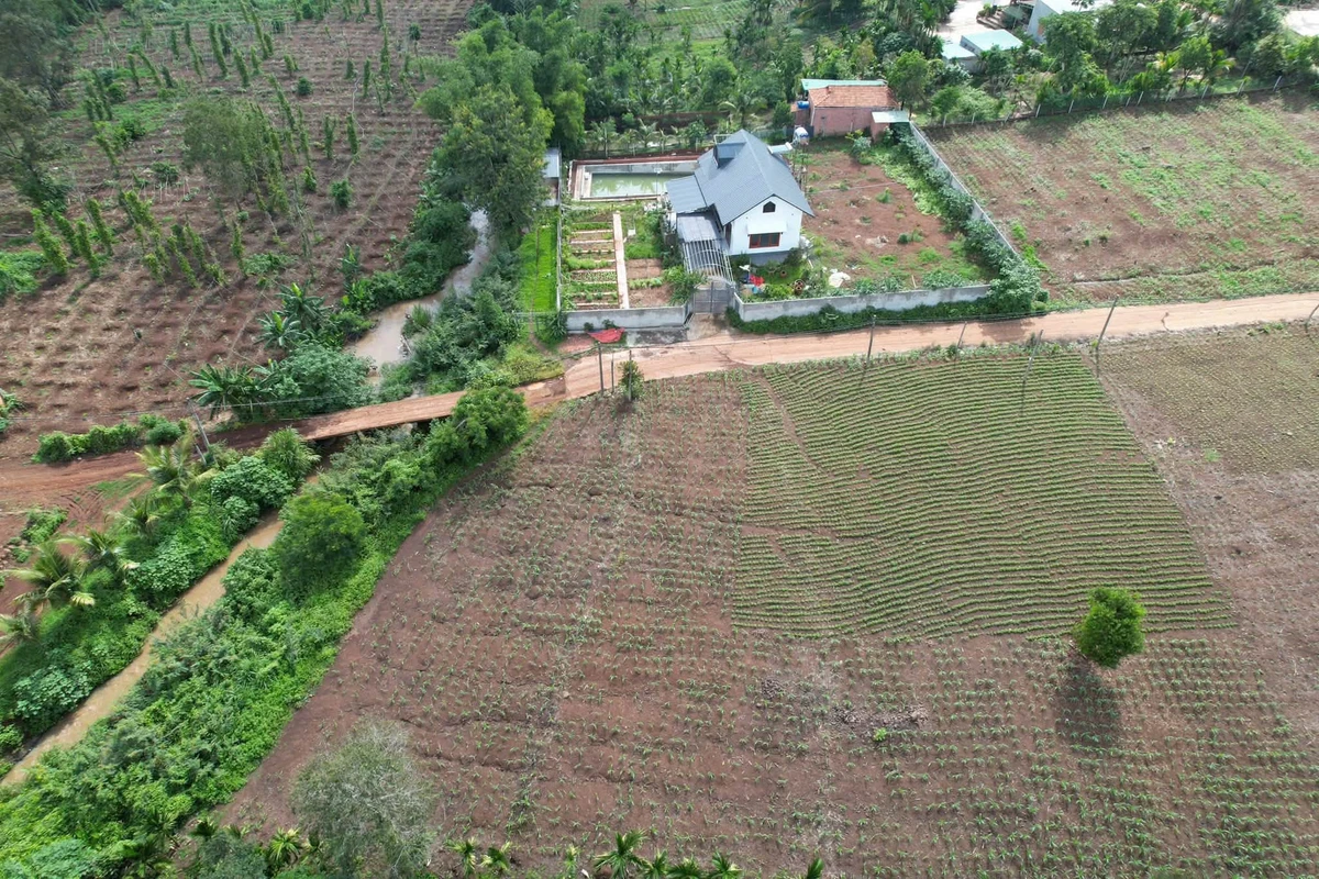 Bán đất sào view suối tại Ea Tiêu, Đắk Lắk 1 tỷ 840 triệu - Ảnh thu nhỏ 3