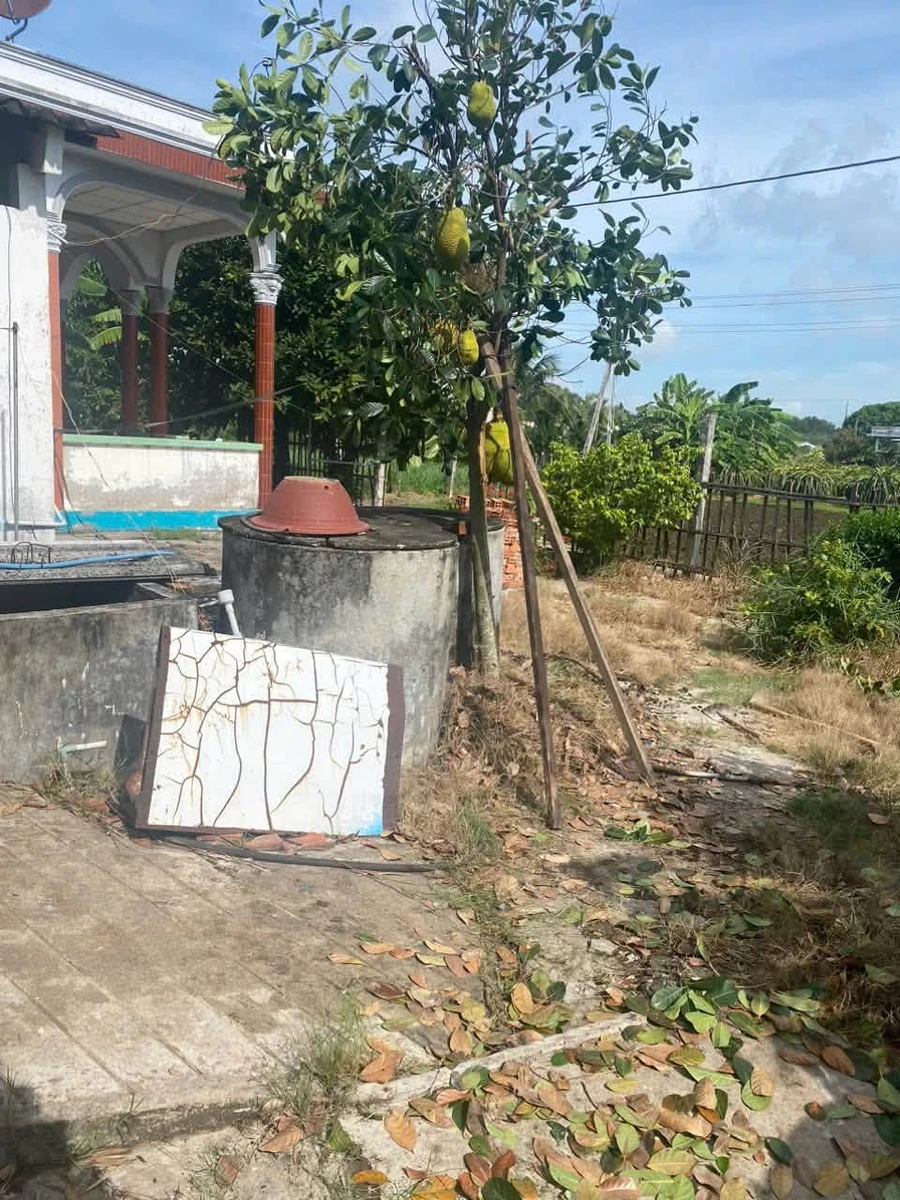 Bán gấp nhà mặt tiền nhựa đường Nguyễn Văn Mỹ, xã Bình Tịnh, Tân Trụ, Long An, 400m2 thổ cư - Ảnh thu nhỏ 4