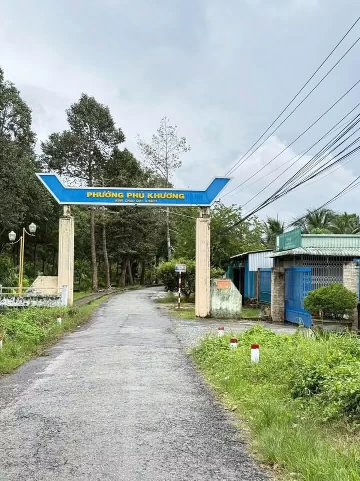 Bán đất mặt tiền lộ nhựa 500m² Bến Tre - Ảnh 1