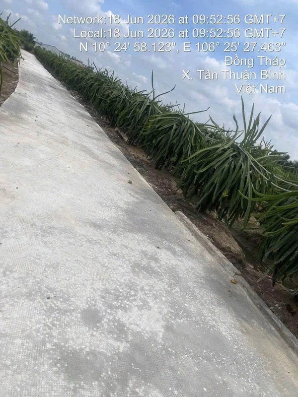 Bán đất thổ cư 330m² xã Long Trì Long An giá 499 triệu