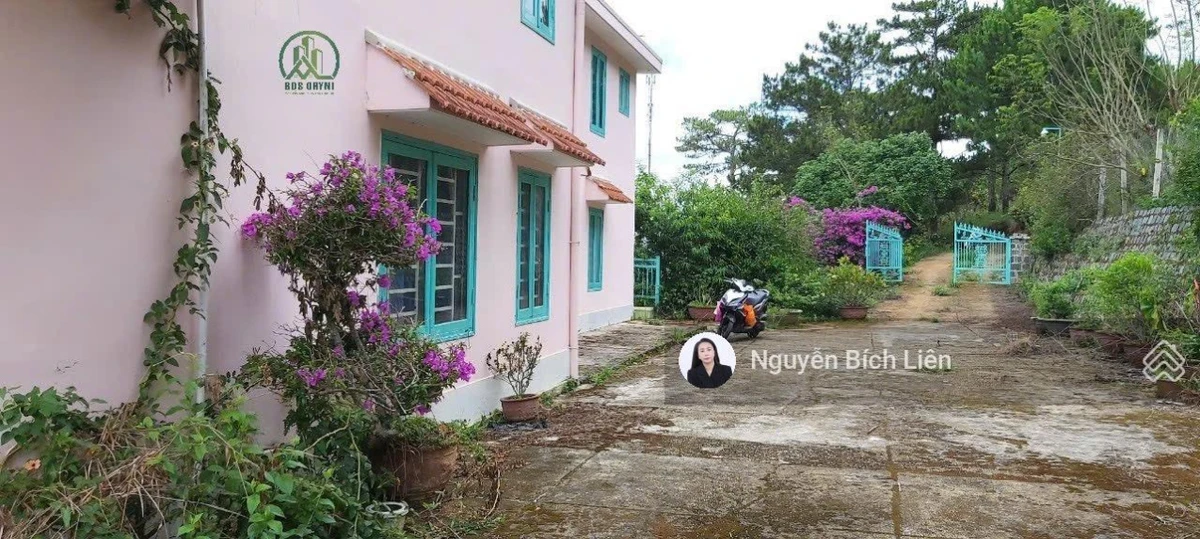 Chính chủ bán biệt thự cổ 2692m2 view săn mây siêu siêu đẹp tại Trạm Hành - Đà Lạt - Ảnh thu nhỏ 2