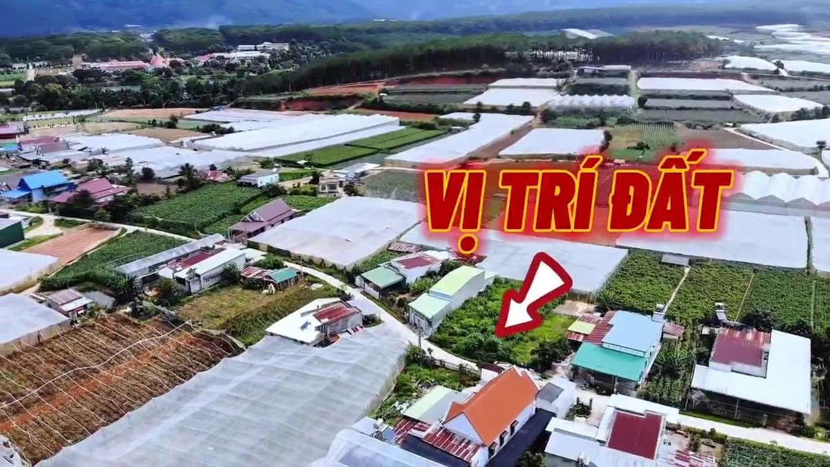 Bán đất nền 806m2 Châu Sơn, Lâm Đồng, 4.5 triệu/m2 - Ảnh thu nhỏ 5