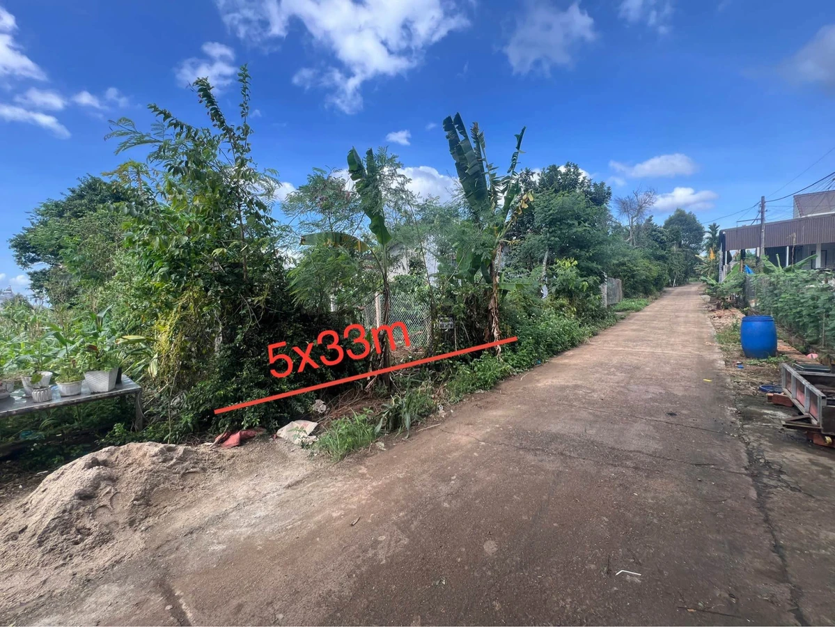 Bán đất Bình Chánh, 5x33m (165m²), 790 triệu - Ảnh thu nhỏ 2