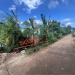 Bán đất Bình Chánh, 5x33m (165m²), 790 triệu - Ảnh thu nhỏ 2