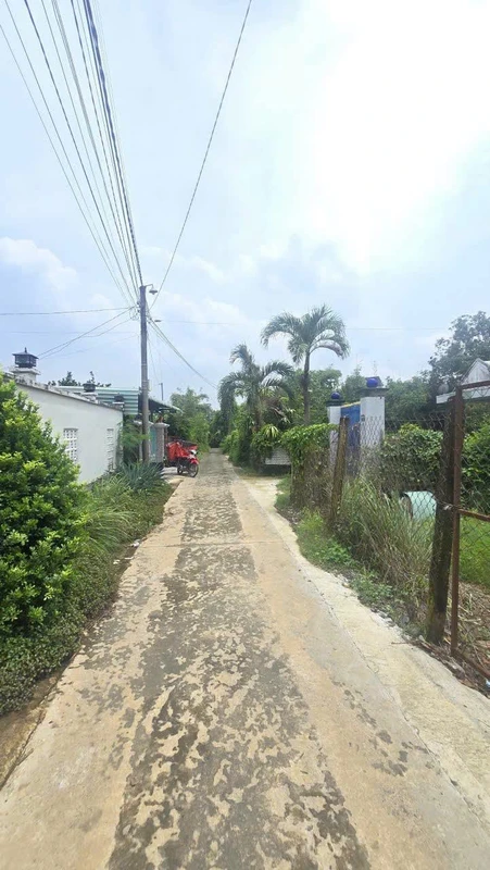 Bán vườn mai gần 2ha đất ONT, có ao cá, cây ăn trái tại Tân Triều, Đồng Nai