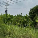 Bán đất Hòa Khánh Cần Giờ 500m² giá 3 tỷ 550 - Ảnh thu nhỏ 2