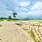 Bán đất vườn 2400m2 Nghĩa Điền 1.9 tỷ - Ảnh thu nhỏ 3