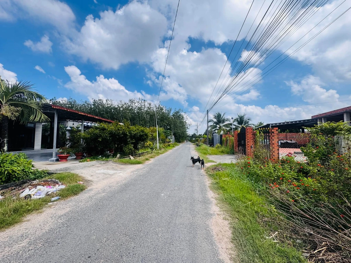 Bán đất 106m2 gần KCN Phước Đông, Bình Dương - Ảnh thu nhỏ 2