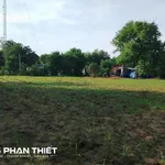Bán đất sào Thuận Hòa 2542 m² với nhà cấp 4, Lâm Đồng - Ảnh thu nhỏ 3