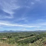 Bán 1 sào đất view săn mây đường ô tô tại Tân Hà, Lâm Hà, Lâm Đồng - Ảnh thu nhỏ 7