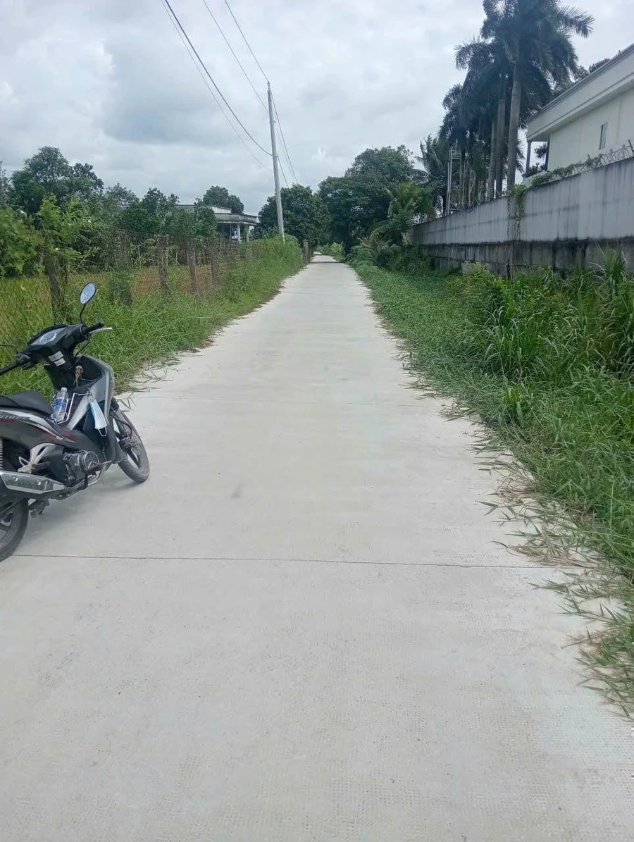 Bán đất mặt tiền Liên Ấp 1-3A, Xã Phước Lợi, Long An 198.75m² - Ảnh thu nhỏ 4