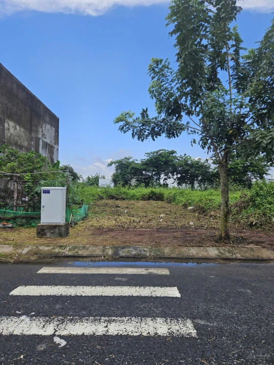 Bán đất nền 100m2 trên đường số 23 (12m) đối diện công viên giá 2tỷ090 tr tại KDC Thái Sơn Long Hậu - Ảnh thu nhỏ 4