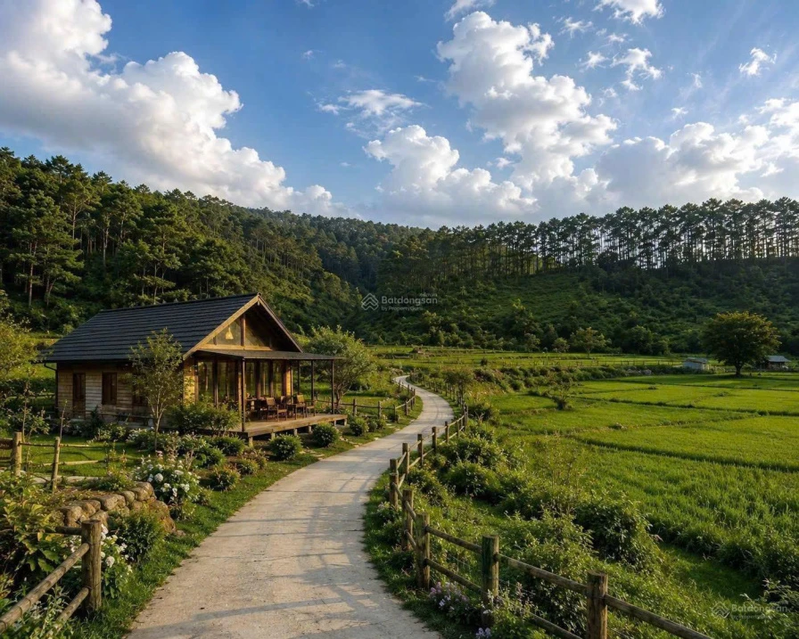 Đất gần trung tâm Măng Đen giá khá tốt ạ - Ảnh 1