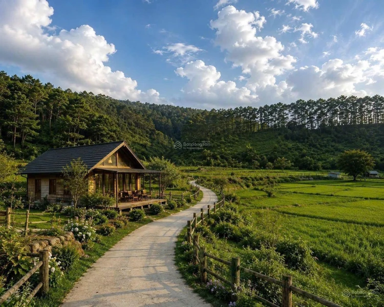 Đất gần trung tâm Măng Đen giá khá tốt ạ