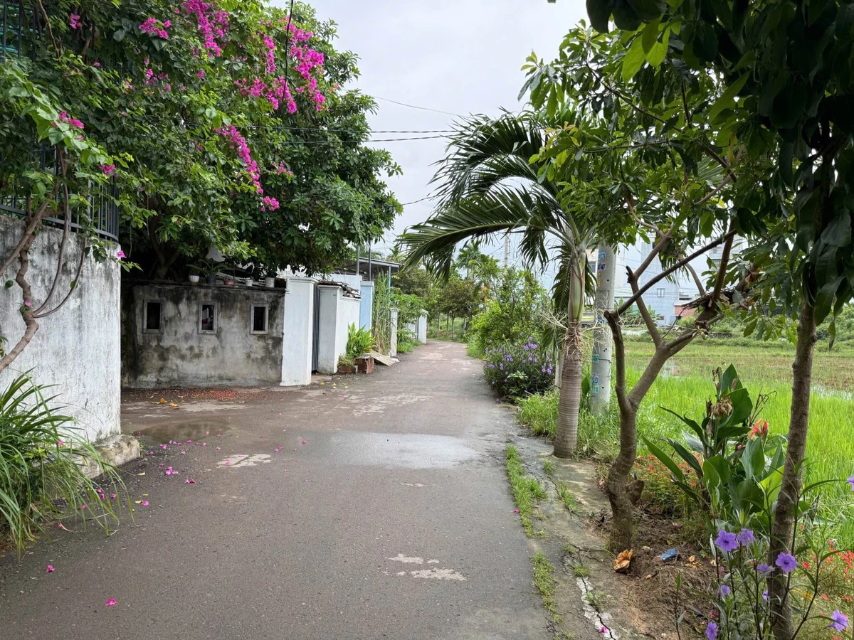 Bán lô đất Tuy Phước 138,7m² full thổ cư 1 tỷ 2 - Ảnh 1