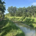 Bán NP tại 139 Huỳnh Thúc Kháng, 200m2, 8,7 tỷ, giá tốt bao đẹp - Ảnh thu nhỏ 16
