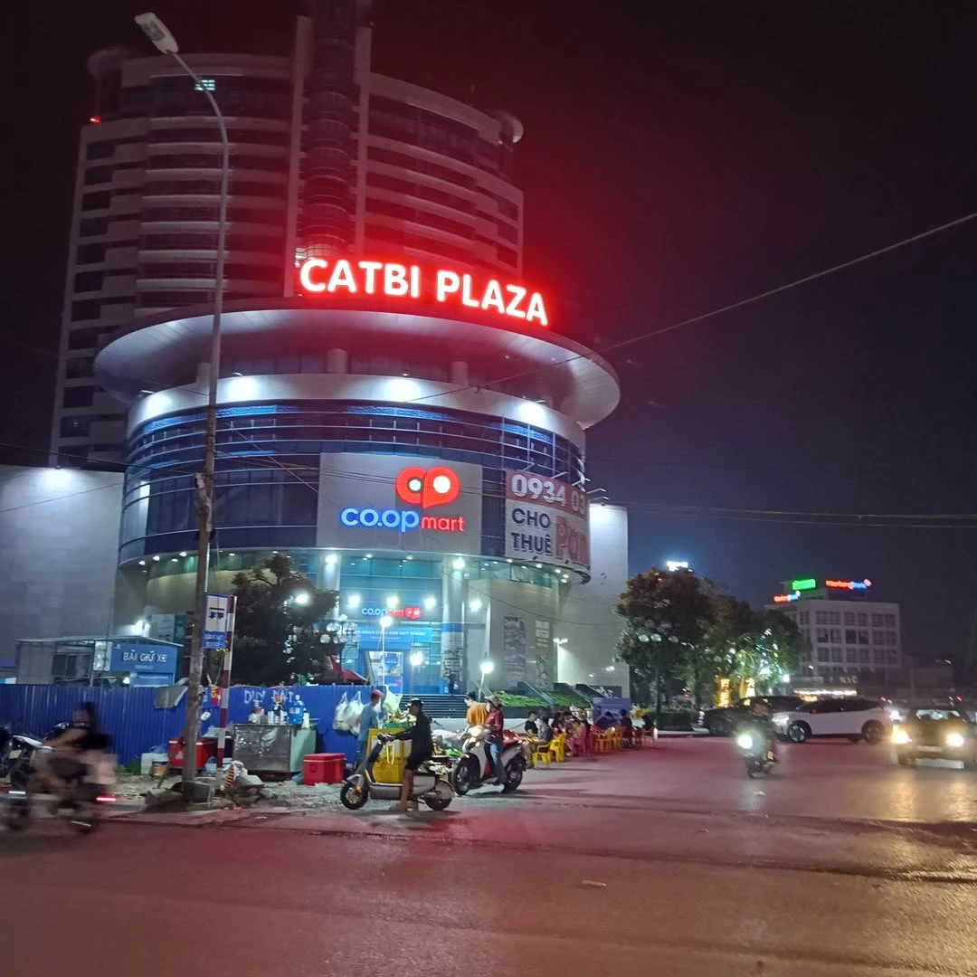 Bán nhà mặt tiền 3 tầng 93m2 gần vườn hoa Nguyễn Trãi, Hải Phòng giá 10,5 tỷ - Ảnh 1