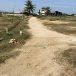 Chính chủ cần bán trọn gói cụm 3 thửa đất liền kề nhau, An Thạnh 2, Phước Dinh, Khánh Hòa - Ảnh thu nhỏ 5