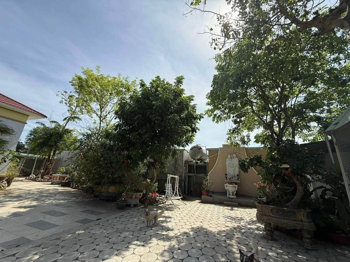Bán nhà vườn biệt thự kèm gần 100 phòng trọ gần 5000m2 đường HL612 Bàu Bàng, giá 17 tỷ - Ảnh thu nhỏ 5