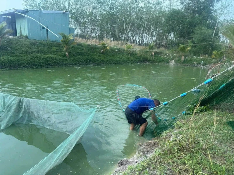 Bán gấp mảnh vườn 7000m2 tâm huyết Minh Hưng Chơn Thành
