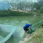 Bán gấp mảnh vườn 7000m2 tâm huyết Minh Hưng Chơn Thành - Ảnh thu nhỏ 1