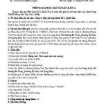 Bán đấu giá tài sản Kỳ Lừa, Lạng Sơn - Ảnh thu nhỏ 3