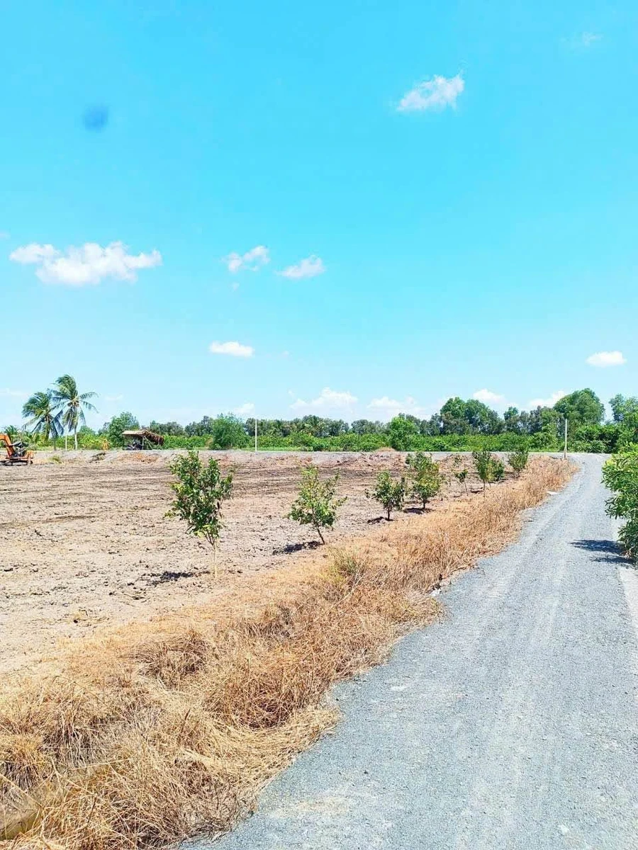 Lô góc 1000m² (500m² thổ cư + 500m² vườn) giá 1 tỷ 450 triệu, Bến Lức, Long An - Ảnh thu nhỏ 4