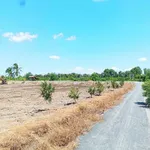 Lô góc 1000m² (500m² thổ cư + 500m² vườn) giá 1 tỷ 450 triệu, Bến Lức, Long An - Ảnh thu nhỏ 4