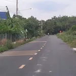 Bán nhà vườn mặt tiền Tân Hiệp 493,8m2 Tân Phú - Ảnh thu nhỏ 5