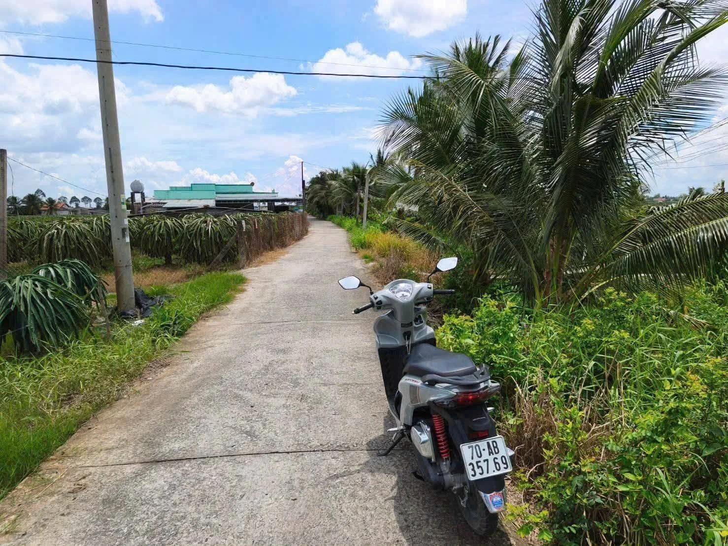 Bán đất 1.240m² (200m² thổ) Hiệp Thạnh, Châu Thành, Long An 999 triệu - Ảnh 1