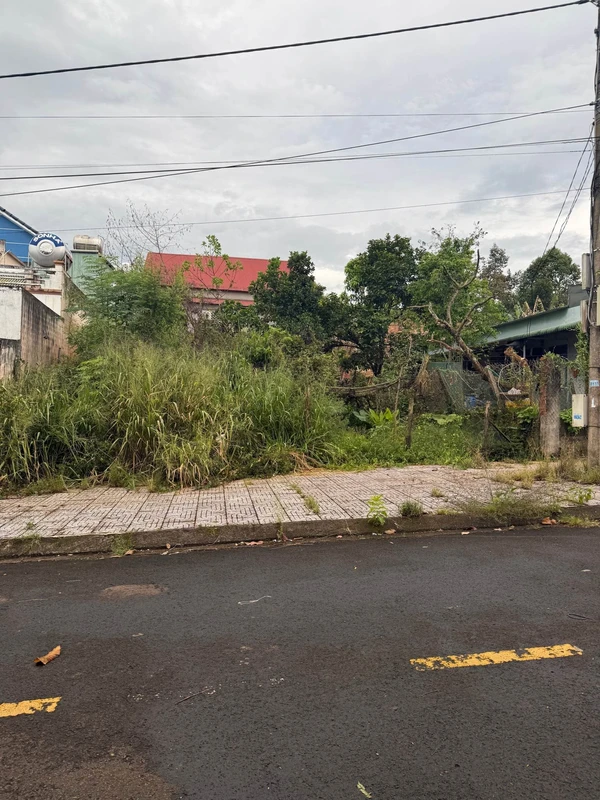 Bán đất Đắk Nông 288m² giá 1,9 tỷ