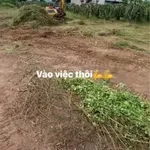 Bán đất cây trồng 2200m2 Hàm Hiệp, Bình Thuận - Ảnh thu nhỏ 3