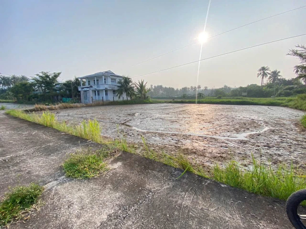 Bán 300m² đất thổ cư Hàm Đức, Bình Thuận 800 triệu - Ảnh thu nhỏ 2